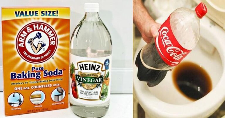 Baking Soda và Coca Cola